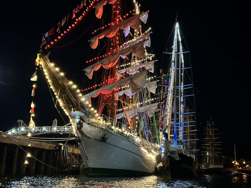 Marine Event Medical Cover IMG 1590 1024x768